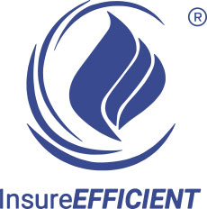 Insurance Efficient Overview